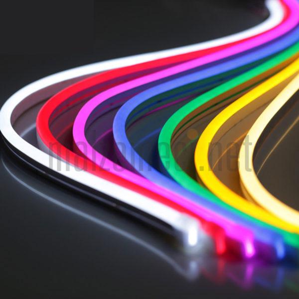 NEON LED 5mt